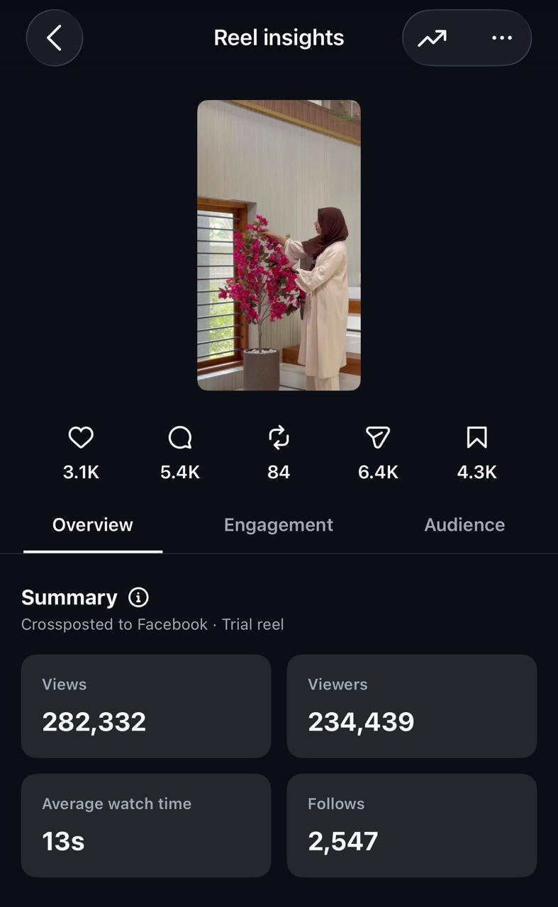 Vassio Instagram reel insights showing 282,332 views, 234,439 viewers, 13 second average watch time and 2,547 new followers