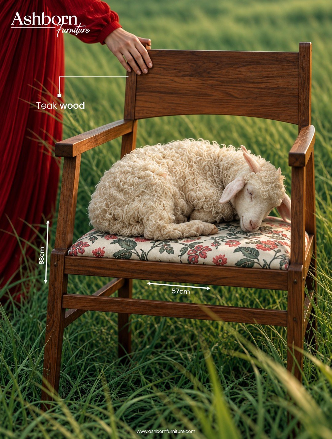 Ashborn Furniture teak wood chair campaign creative